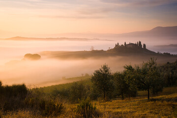 foggy misty colorful valley in autumn morning, beauty sunrise over olive trees, italy, tuscany