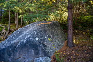A rock among trees in a forest. Picture from Hamburgsund, Vastra Gotaland, Sweden