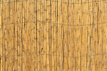 Bamboo background. Old bamboo fence