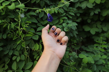 Southeast Asian young brown woman's hand wearing blue or violet nail polish in front of green leaf tree with text space