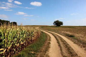 Obraz premium Sur le terrain de Saint Junien l'Ars