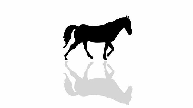 Horse silhouette (seamless loop animation)