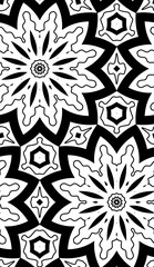 Fototapeta premium Doodle background. Seamless pattern with floral doodle elements. Black and white decorative elements.