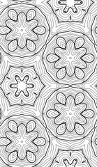 Doodle background. Seamless pattern with floral doodle elements. Black and white decorative elements.
