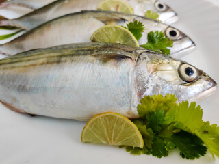 Close Up View Of Indian Mackerel Fish Decorated With Herbs. Isolated On White Background