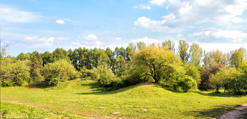 Scenic landscape background of blue sky and green meadow grass. Wide view of rural scenery. Natural...