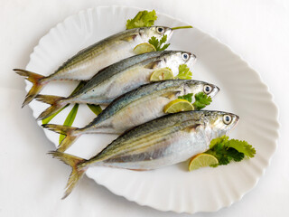 Fresh Indian Mackerel fish decorated with herbs on a white plate