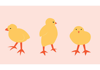 Vector illustration with chick. Cute cartoon characters.