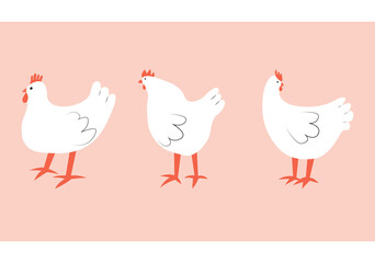 Vector illustration with chicken. Cute cartoon characters.