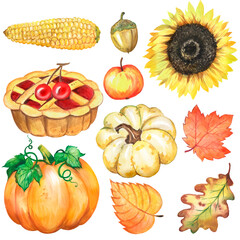 Watercolor illustration with autumn leaves and vegetables, pumpkin, sunflower