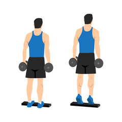 Man doing Standing dumbbell calf raises exercise. Flat vector illustration isolated on white background. Workout character set © lioputra