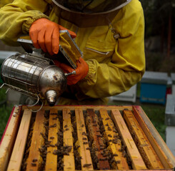 apicultore con arnie e api