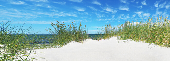 Sandstrand mit Dünen an der Ostsee - Ostseeküste mit Strand und Meer 