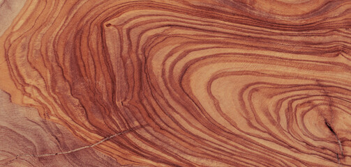 texture of brown wood plank. background of wooden surface 