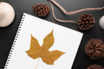 Leaf on notebook on table top view with natural pine cones