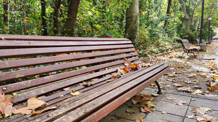 Autumn leaves on wooden benches in the Campo Grande gardens of Valladolid, Spain