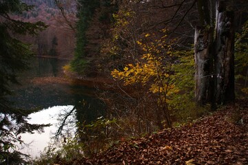 Autumn landscape on the Biogradsko lake. Biogradska Gora National Park, Montenegro.