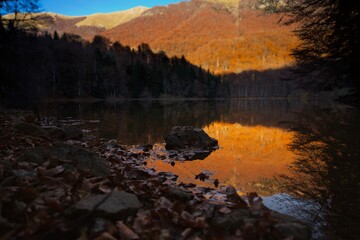 Fototapeta na wymiar Autumn landscape on the Biogradsko lake. Biogradska Gora National Park, Montenegro.