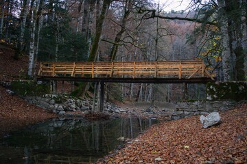 Fototapeta na wymiar Wooden bridge in the forest. Autumn landscape. Biogradska Gora National Park, Montenegro.