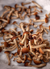 close-up of mushrooms in the home kitchen