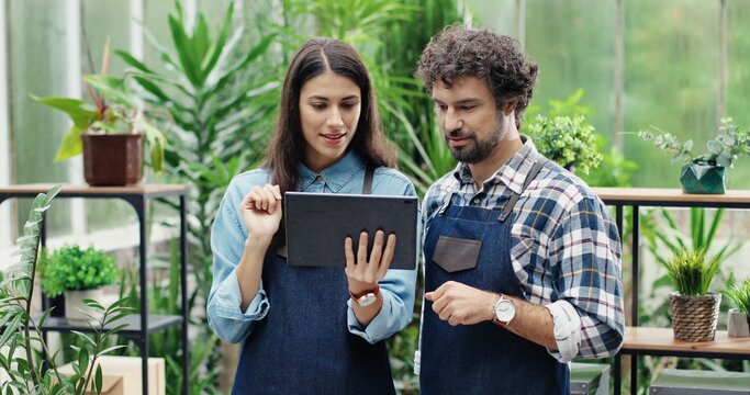 Portrait of young Caucasian lovely couple working in own flower shop together. Joyful female and male entrepreneurs in aprons typing on tablet and talking in floral store. Family business concept