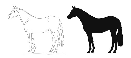 Vector illustration of a horse isolated of on the white background