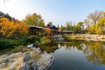 In autumn, ancient building lofts and ginkgo trees are in Jinci Park, Taiyuan, Shanxi, China