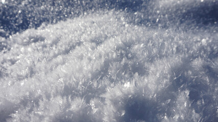 Neige