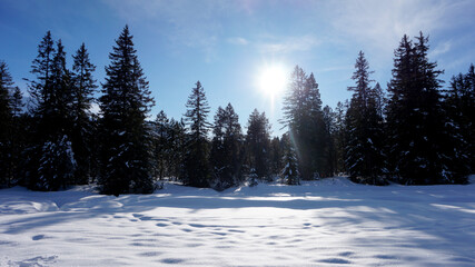 paysage enneig&eacute;