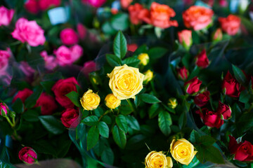 Beautiful bouquets of red, pink and yellow roses in a flower shop. A bright mix of flowers. Handsome fresh bouquets. Flowers delivery. Floral shop concept .