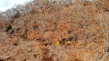 奥日光　中禅寺湖