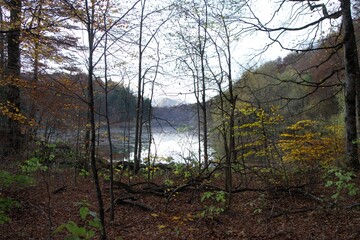 Autumn landscape on the Biogradsko lake. Biogradska Gora National Park, Montenegro.