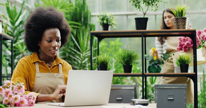 Portrait of happy African American woman florist typing on laptop in good mood and talking to colleague at flower shop. Caucasian female chatting with boss at work while watering flowers - Powered by Adobe