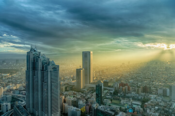 東京都新宿区西新宿にある東京都庁から見た夕方の東京の都市景観