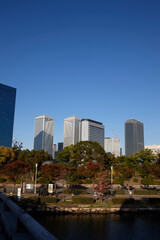 Obraz premium 大阪城から見る大阪の街並