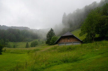Fototapeta na wymiar Schwarzwaldlandschaft in Wolken