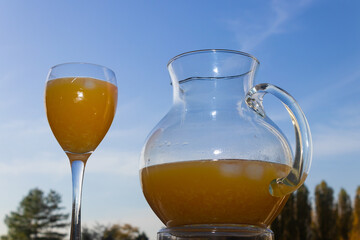 Refreshing freshly squeezed orange juice filled in glass and carafe