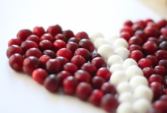 Cranberry isolated on white background. Decoration. White and red. Latvia. Colors of Flag. Autumn. Berries