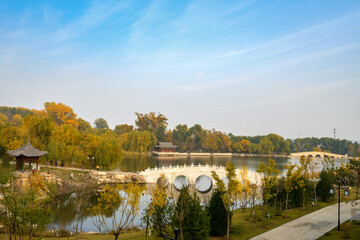 Fototapeta premium In autumn, ancient building lofts and ginkgo trees are in Jinci Park, Taiyuan, Shanxi, China