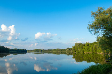 Lake on the background of the forest