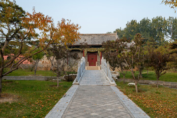 In autumn, ancient building lofts and ginkgo trees are in Jinci Park, Taiyuan, Shanxi, China