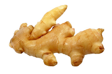 Single Ginger isolated on white background