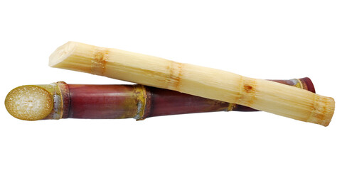 Sugarcane isolated on white background