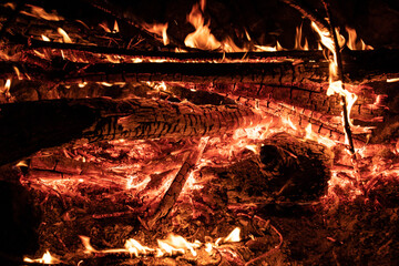 Bonfire with burnt wood and embers
