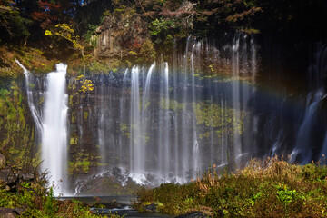 Fototapeta na wymiar 秋の白糸の滝