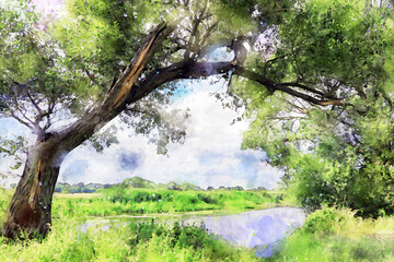 Fototapeta na wymiar Havel river landscape in Summer time with willow tree and reed.