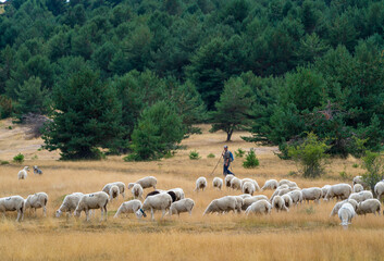 Ion Laskibar Shepherd, Santa Orosia Range, Jacetania, Huesca, Aragon, Spain, Europe