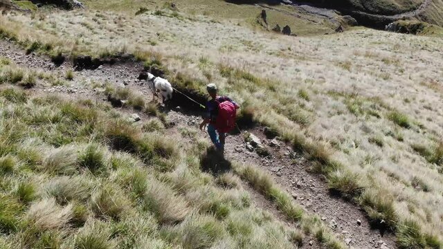 Trekking in Dolomiti con il cane