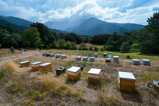 Pedro Arto Beekeeper, Arag&uuml;es del Puerto Village, Jacetania, Huesca, Aragon, Spain, Europe