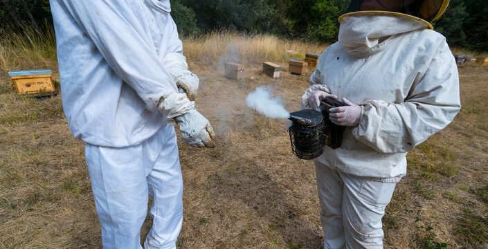Pedro Arto Beekeeper, Arag&uuml;es del Puerto Village, Jacetania, Huesca, Aragon, Spain, Europe